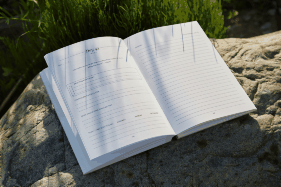 art advisory methodology, digital gallery implementation, strategic workflow, partnership framework